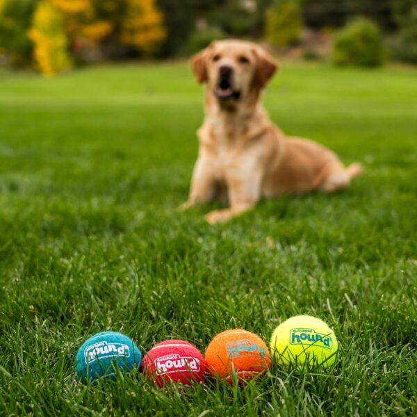 Outward Hound Squeaker Ballz 4-Pack Tennis Ball Dog Toys with Squeaker, Interactive Fetch Play for Pets Under 50 lbs, Training Balls - Image 5