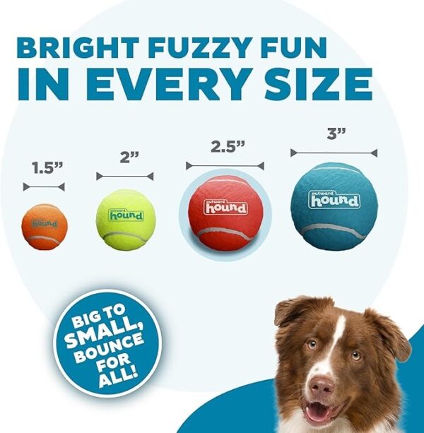 Outward Hound Squeaker Ballz 4-Pack Tennis Ball Dog Toys with Squeaker, Interactive Fetch Play for Pets Under 50 lbs, Training Balls - Image 4