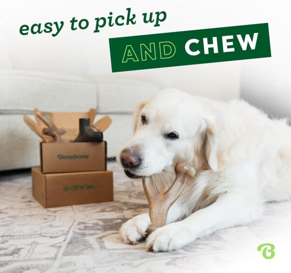 Benebone Medium 4-Pack Dog Chew Toys for Aggressive Chewers, Made in USA, 60lbs and Under - Image 4