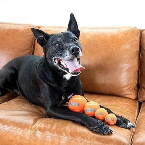 Pet toys