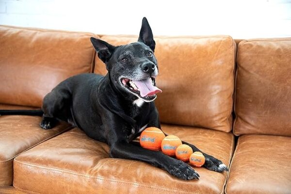 Outward Hound Squeaker Ballz 4-Pack Tennis Ball Dog Toys with Squeaker, Interactive Fetch Play for Pets Under 50 lbs, Training Balls - Image 3